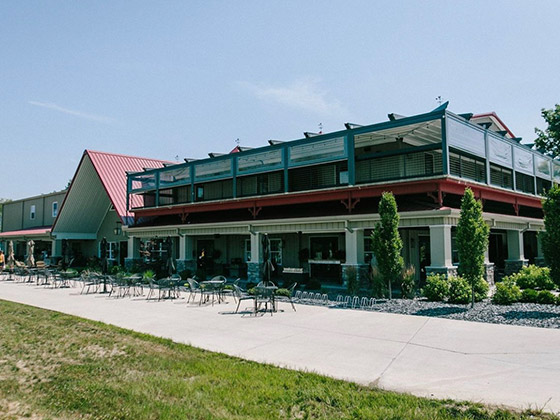 Daniel’s Vineyard